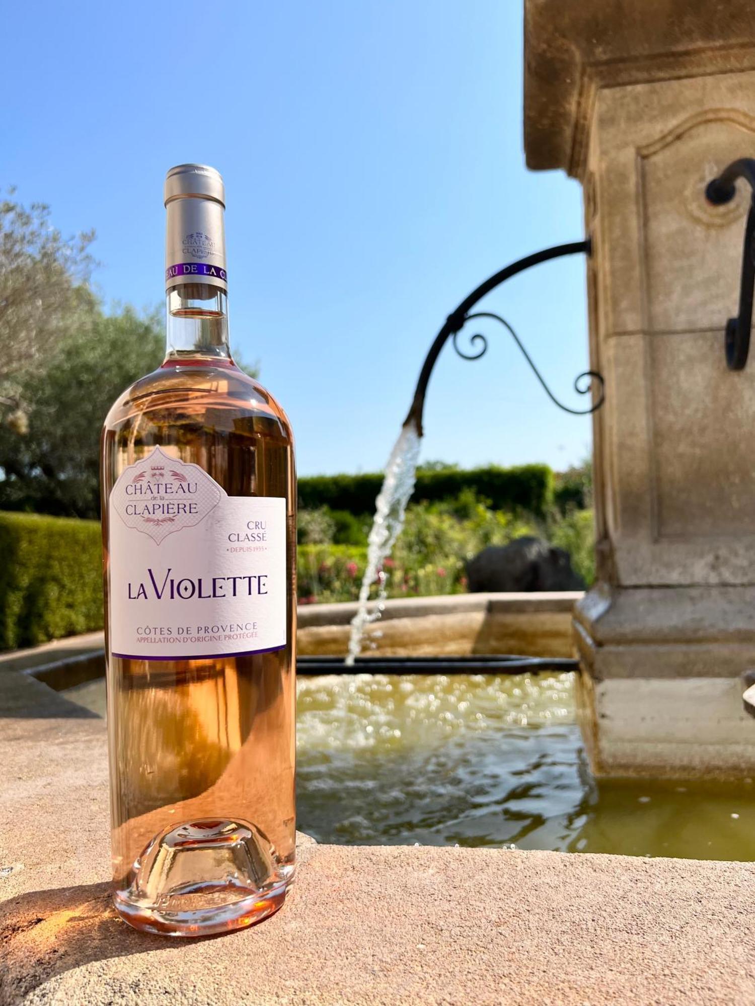 Chateau De La Clapiere Hyères Екстериор снимка