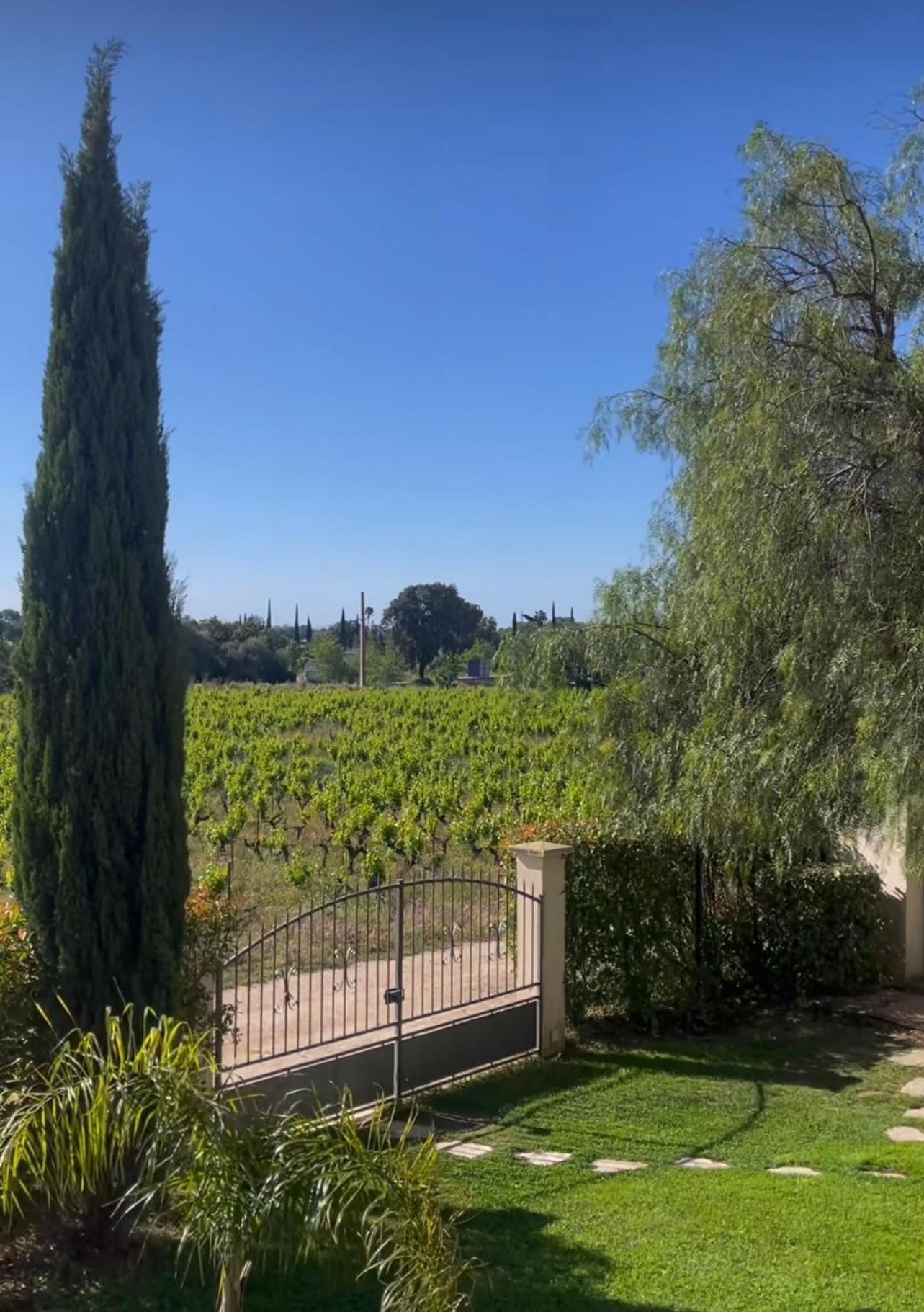 Chateau De La Clapiere Hyères Екстериор снимка