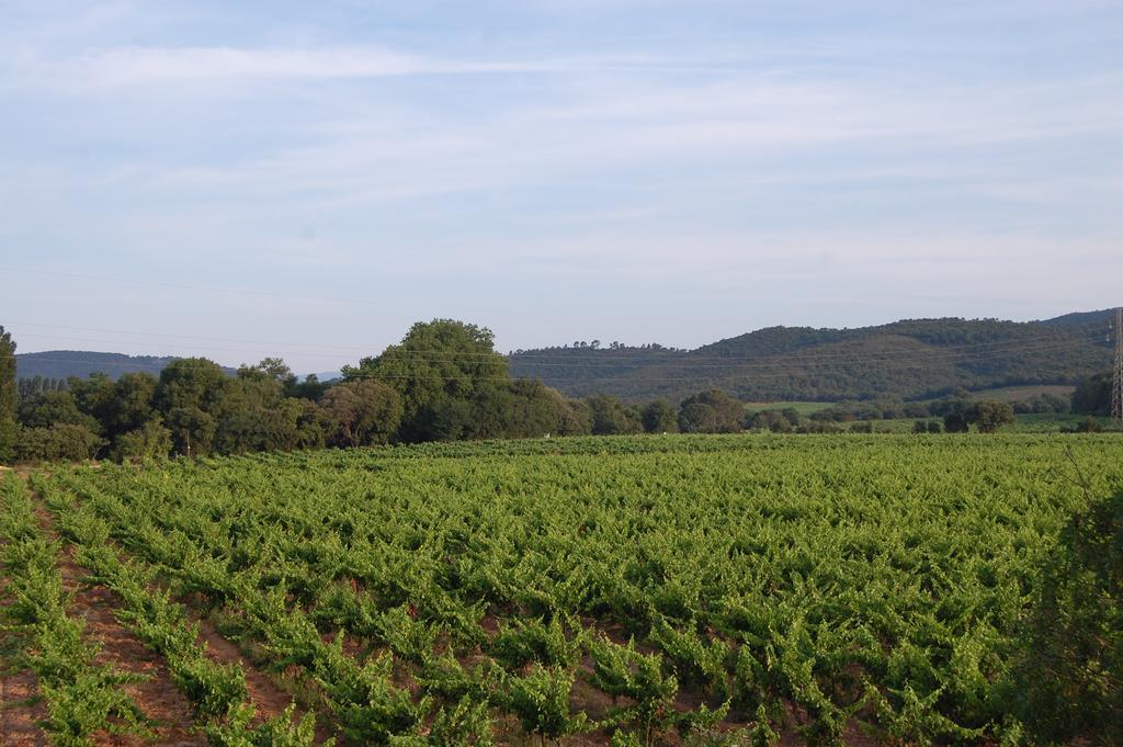 Chateau De La Clapiere Hyères Екстериор снимка